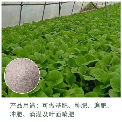 生物肥與飼料肥料 現代農業畜牧漁業發展的綠色動力