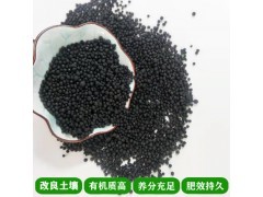 現代農業產業鏈全景 從種植養殖到綠色發展的多元化生態